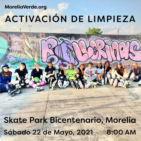 Convocatoria a Skaters y Rollers, Limpieza del Skate Park Bicentenario