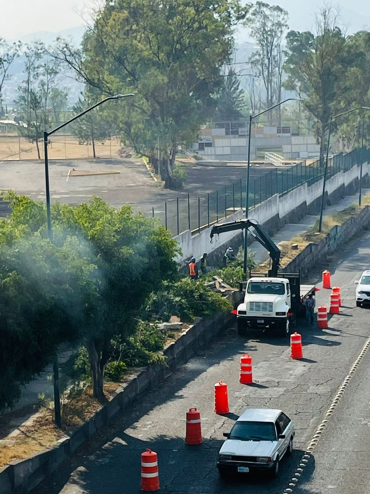 Ciudadanos Vigilando: Vehículo Visto Arrancando Árboles a un Lado del Tec de Morelia
