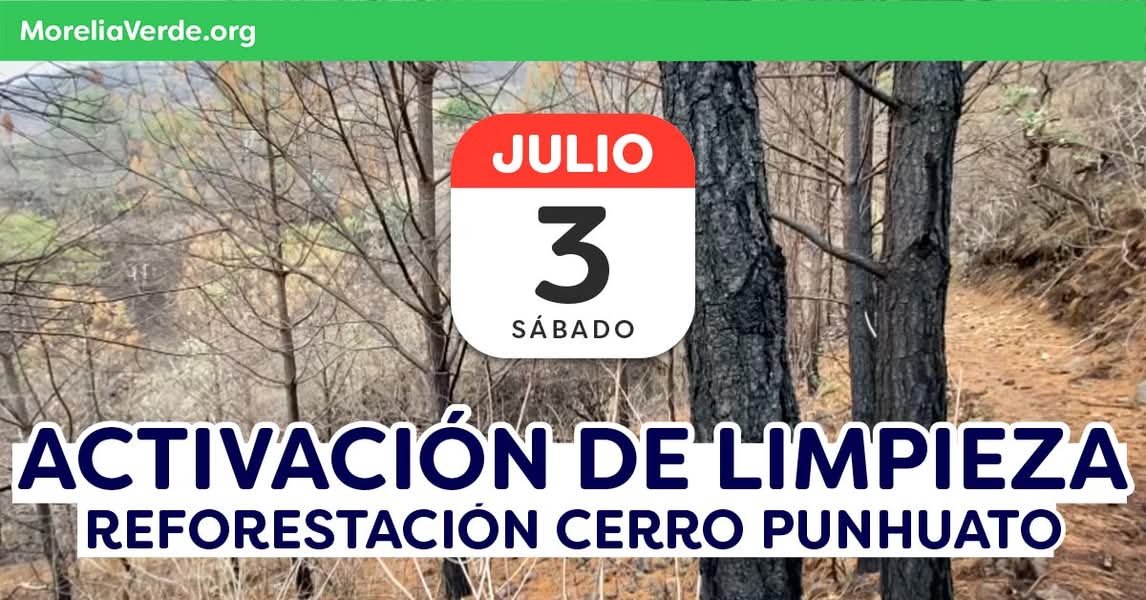 Convocatoria de Limpieza en el Cerro Punhuato