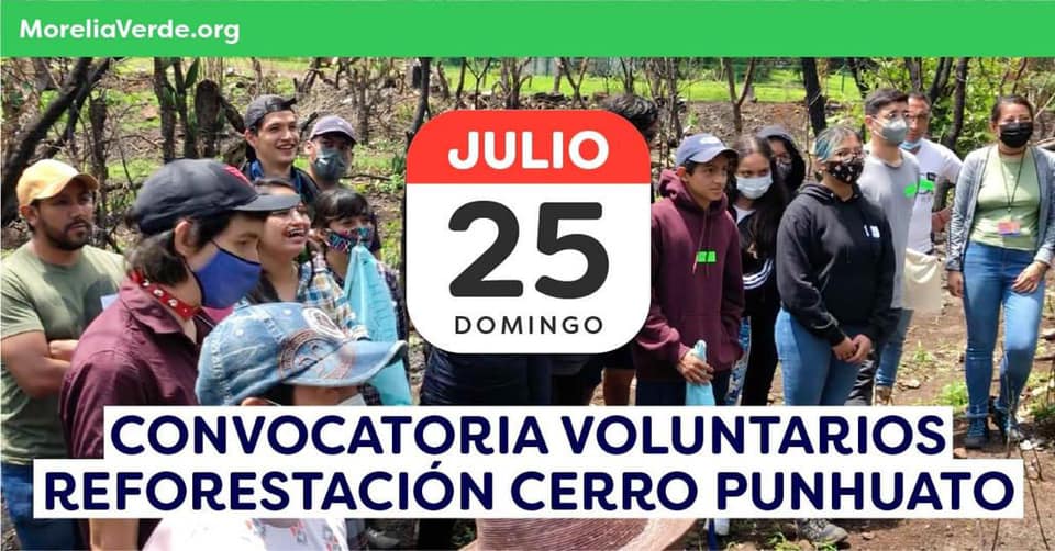 Convocatoria para Última Fecha: Reforestación en el Cerro Punhuato